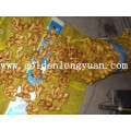 Mesh Bag Package of Chinese Fresh Ginger